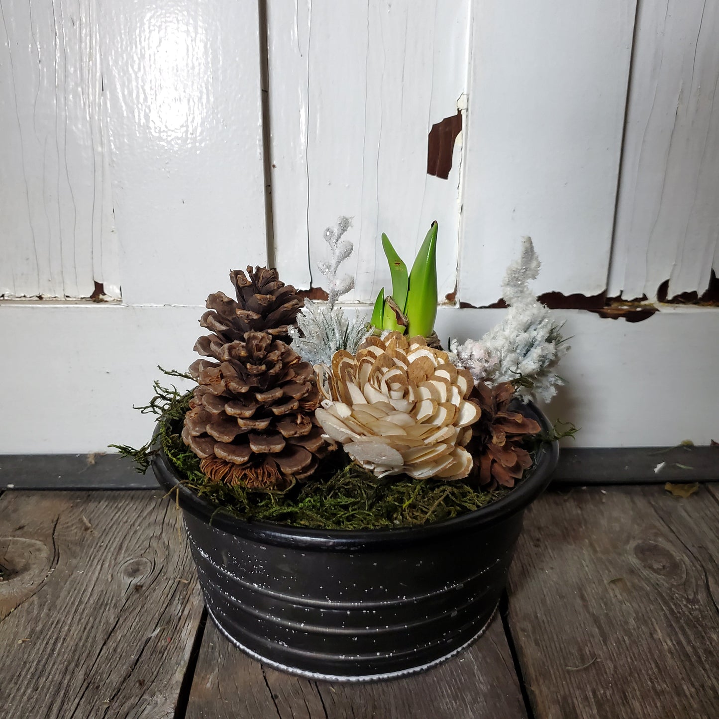 Amaryllis Winter Centerpiece - Fernwood & Co