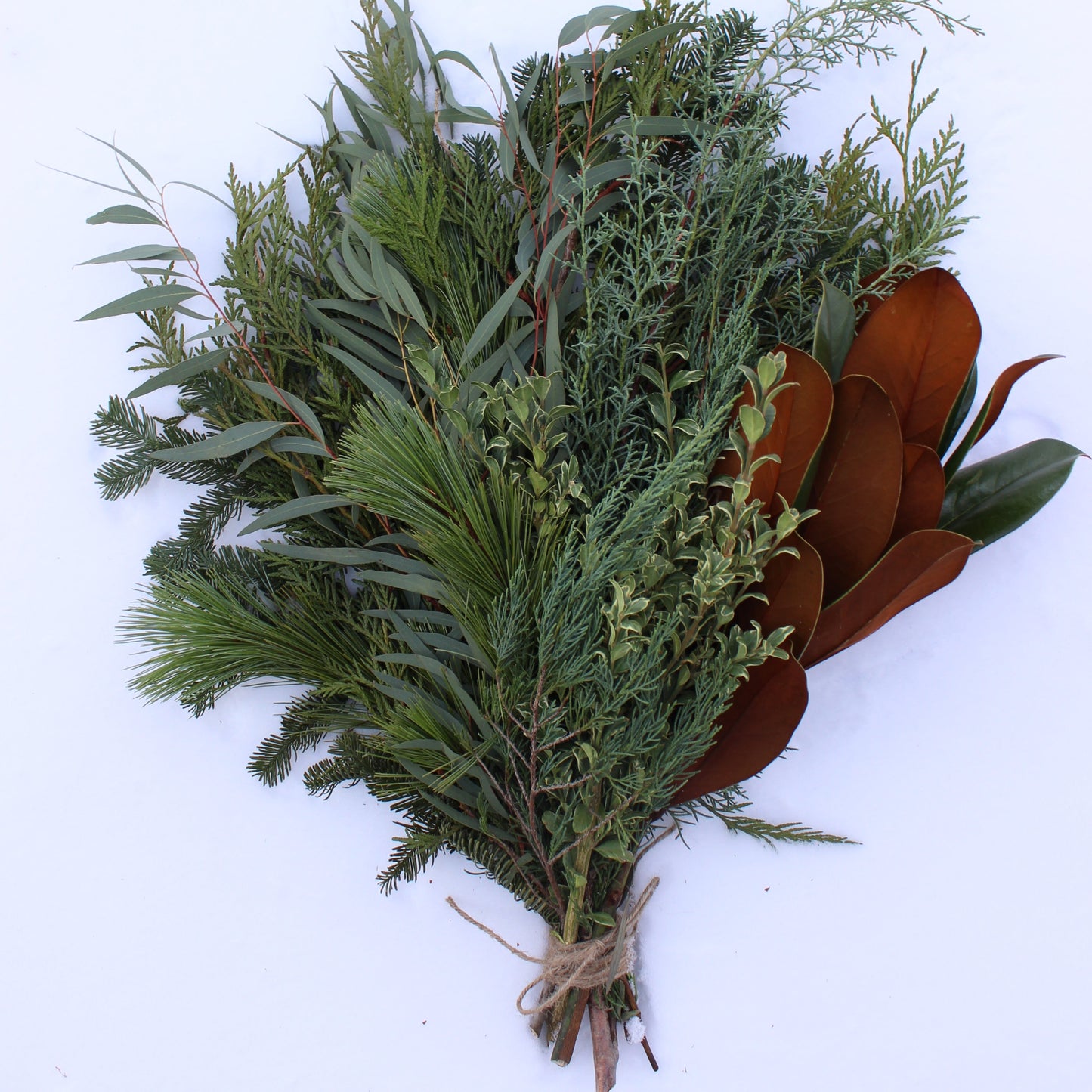 Bundle of Mixed Greenery - Fernwood & Co