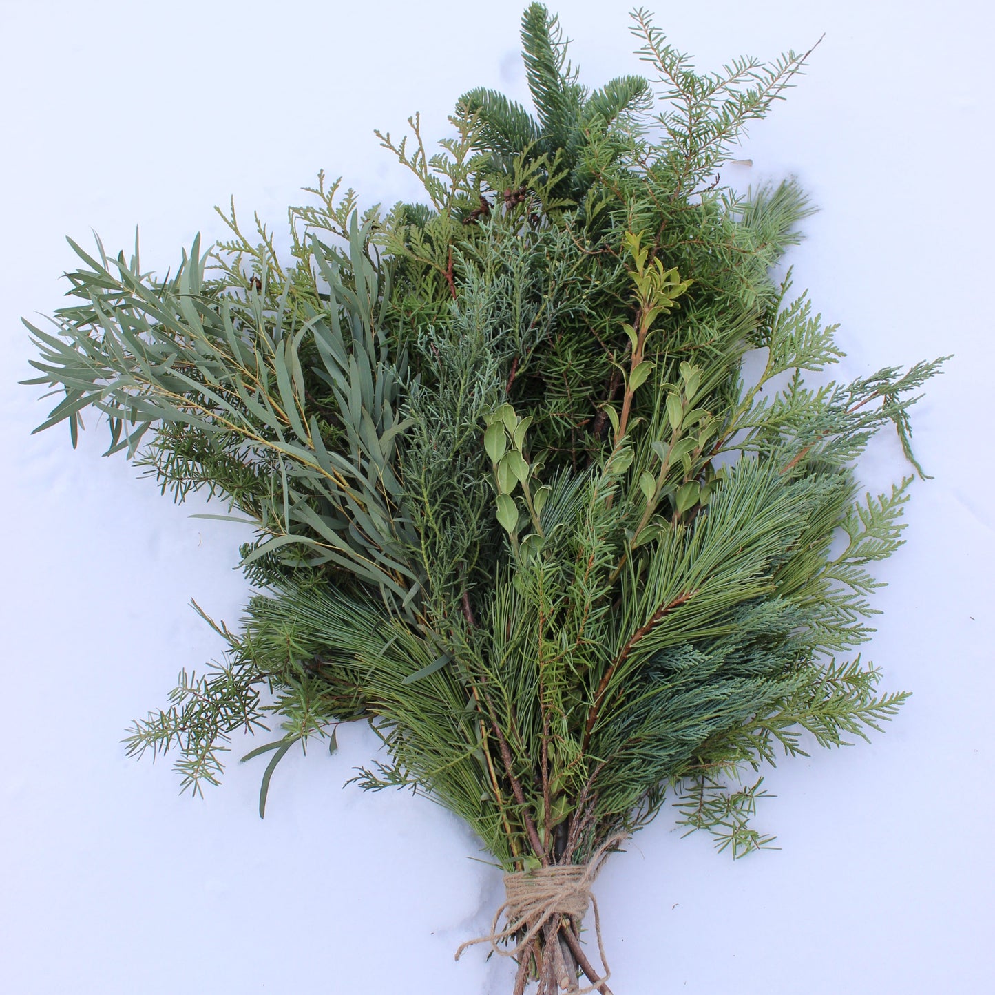 Bundle of Mixed Greenery - Fernwood & Co