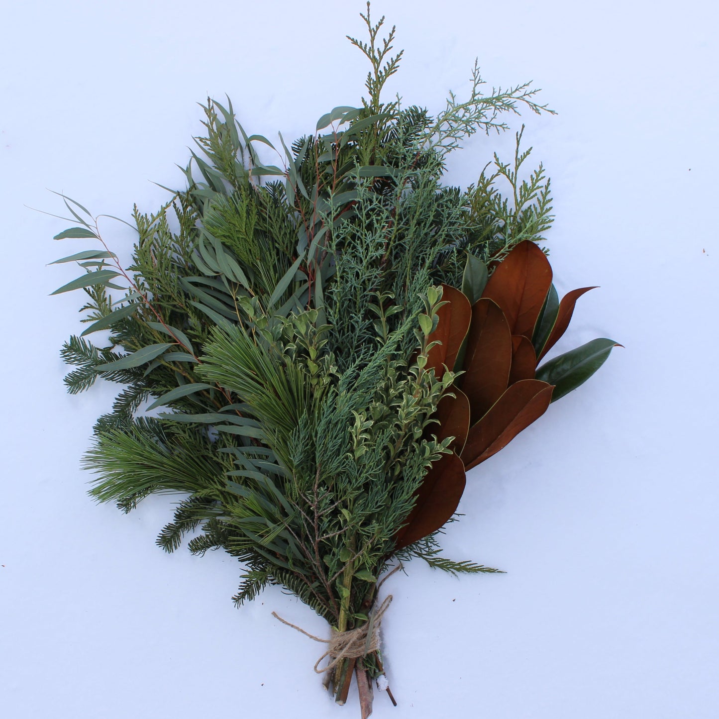 Bundle of Mixed Greenery - Fernwood & Co