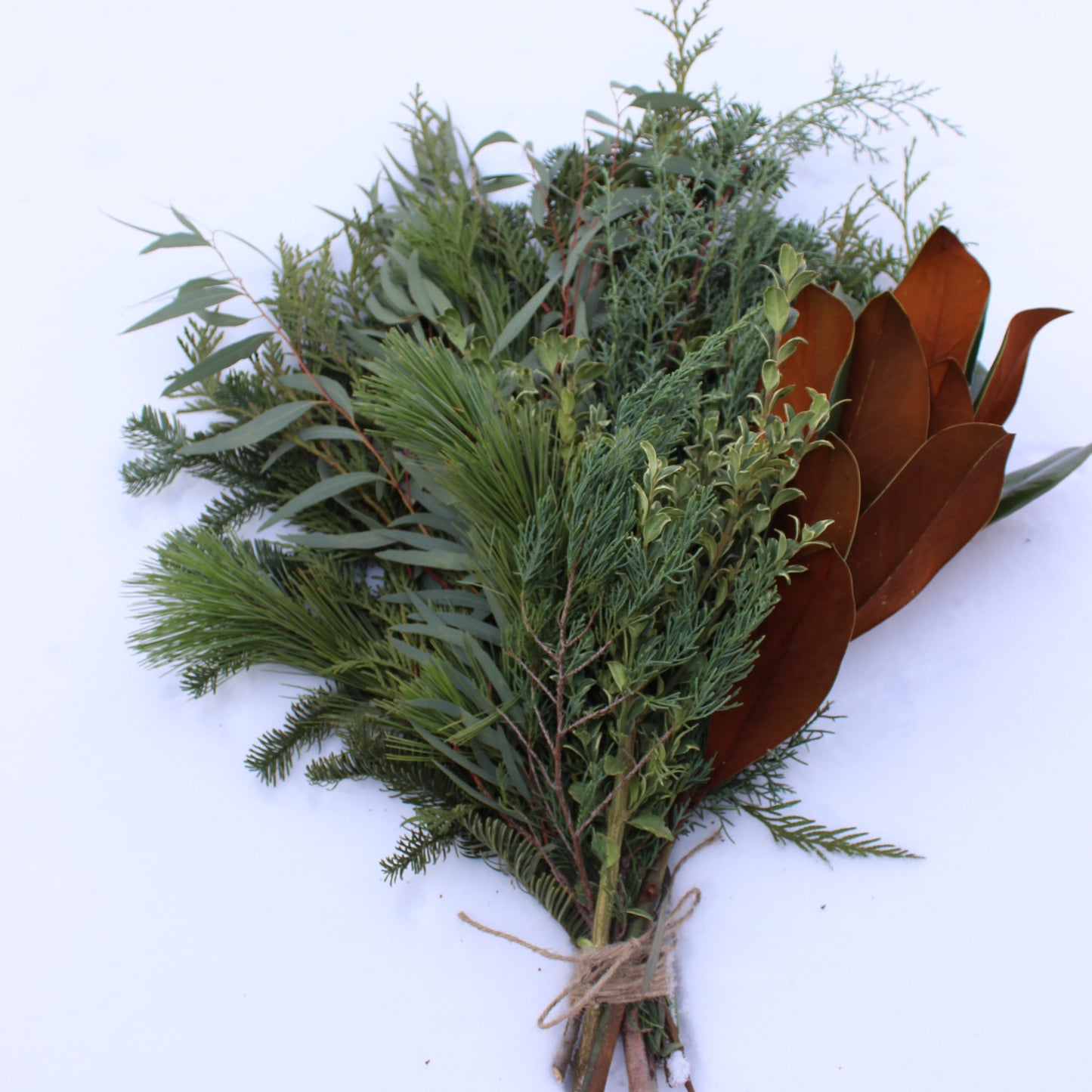 Bundle of Mixed Greenery - Fernwood & Co