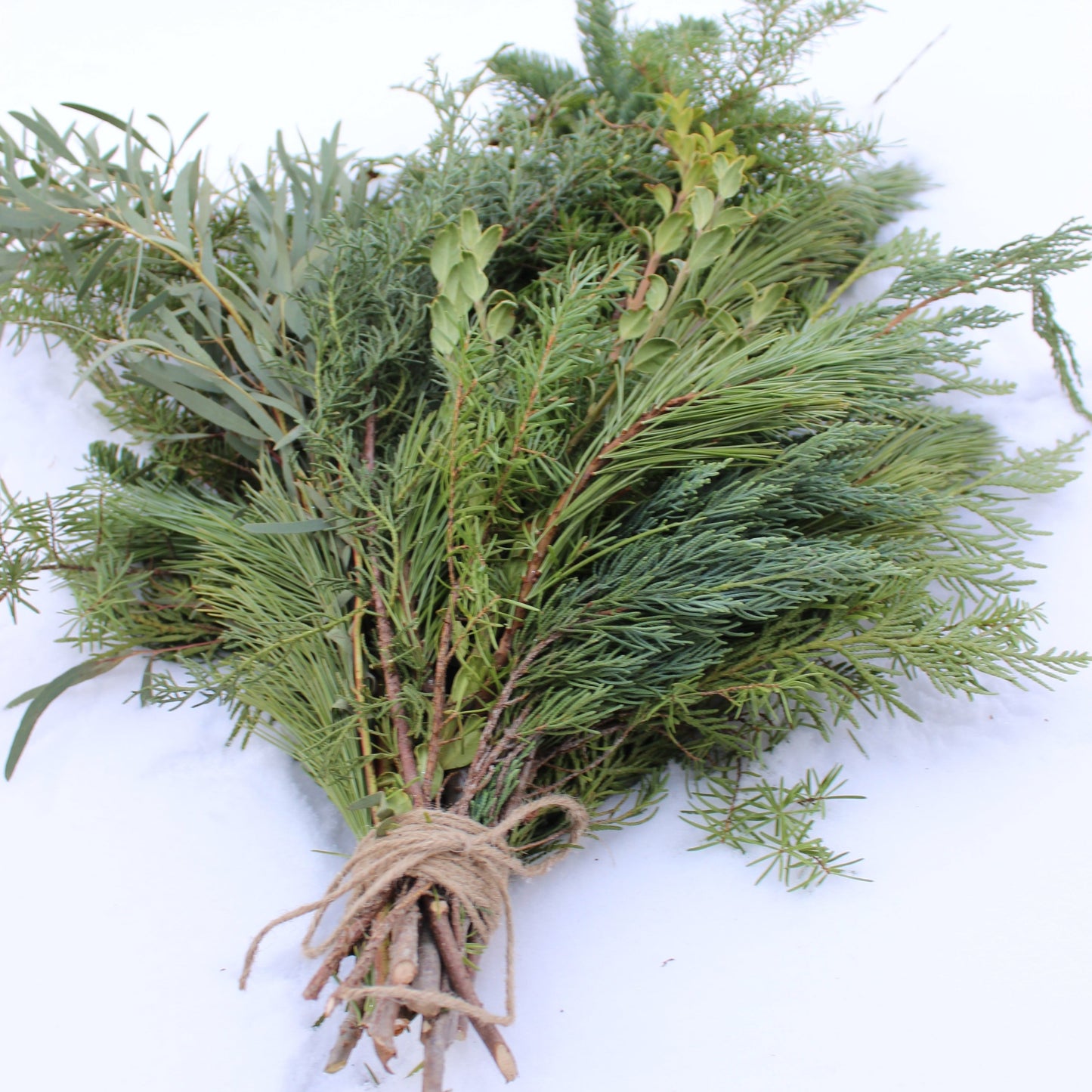 Bundle of Mixed Greenery - Fernwood & Co
