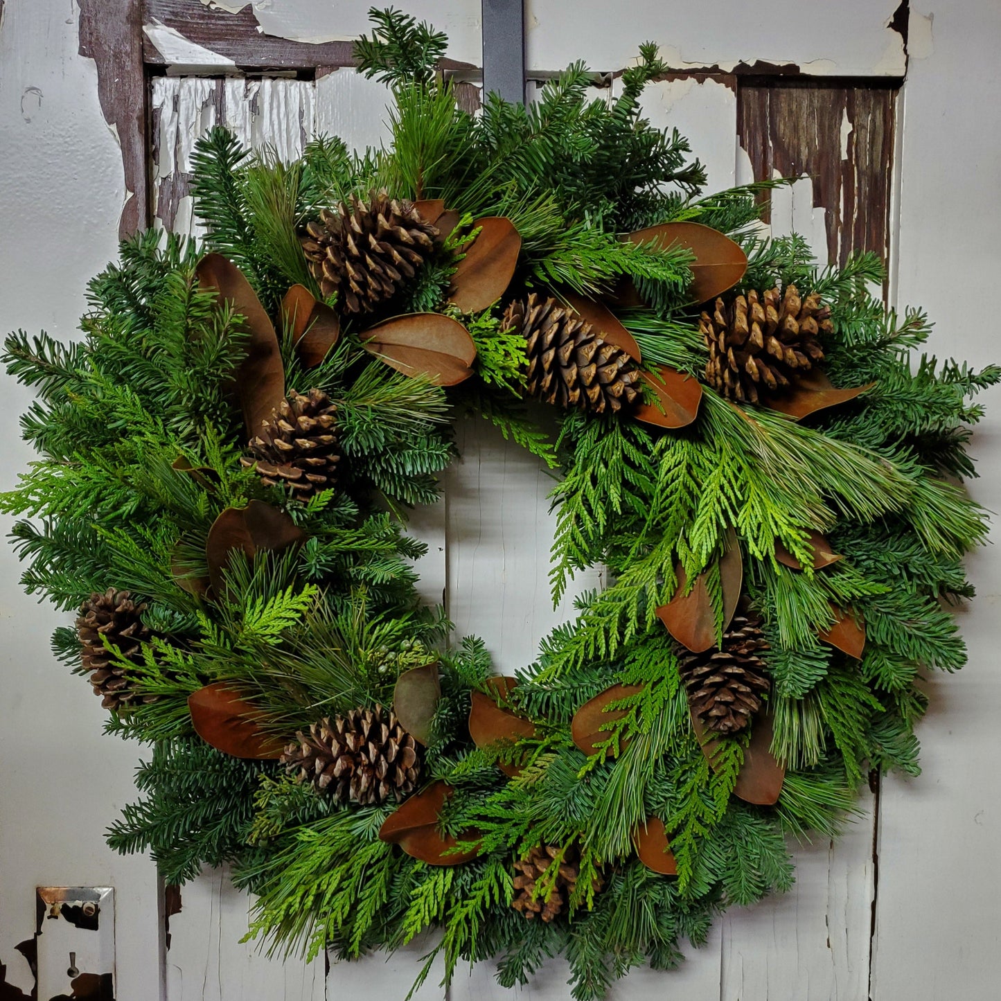 Fresh Greenery Wreath - Fernwood & Co