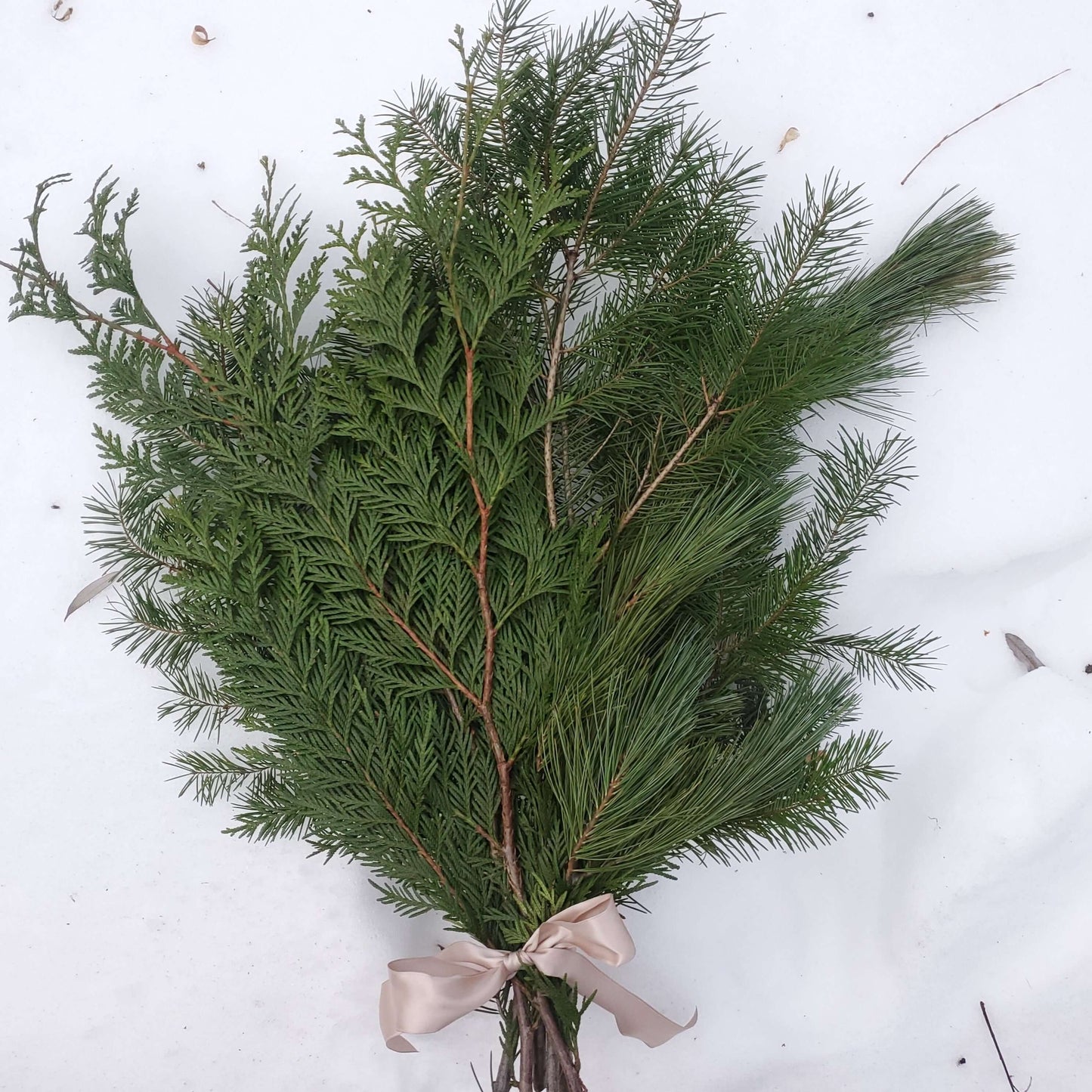 Fresh Mix Greenery Bundle - Fernwood & Co