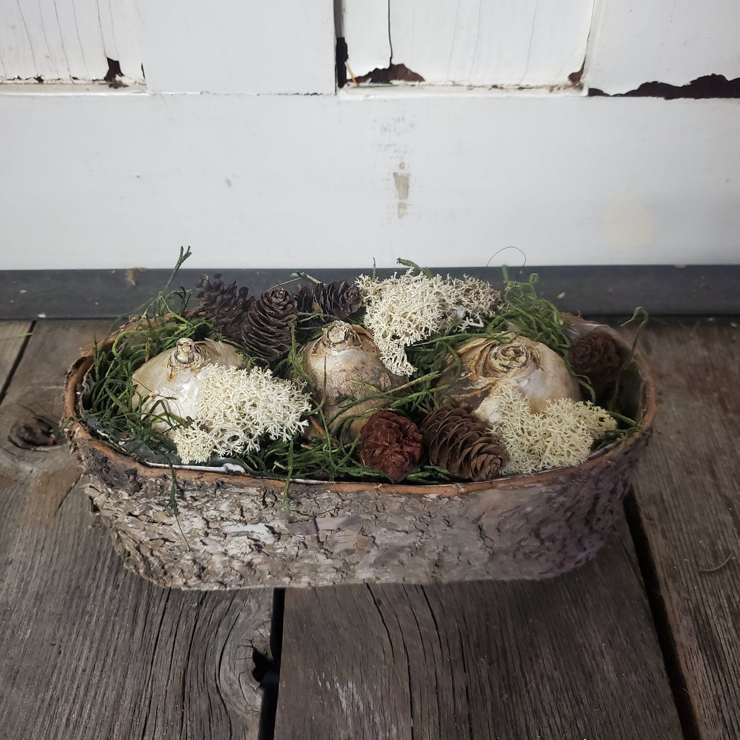 Hyacinth Winter Birch Oval Centerpiece - Fernwood & Co