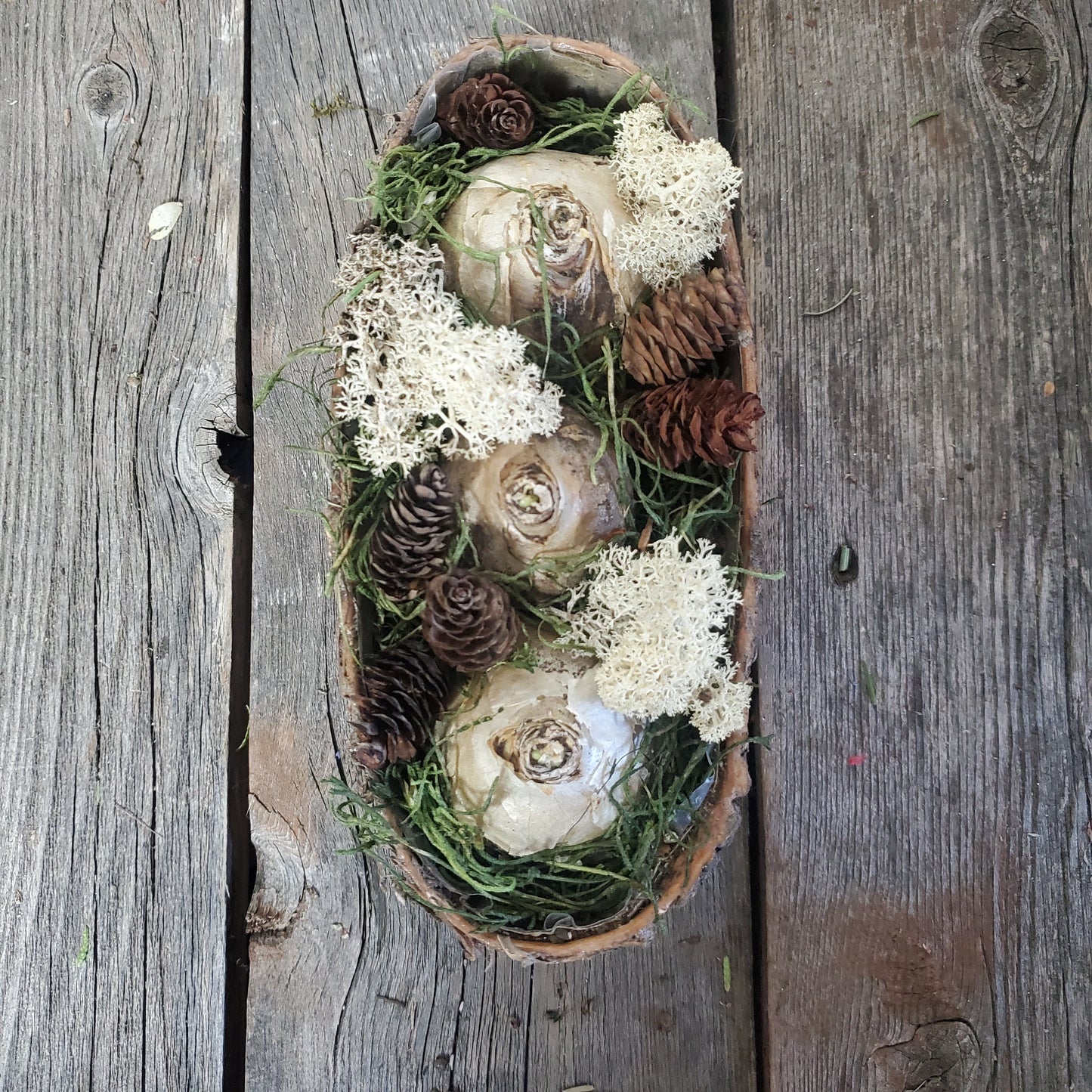 Hyacinth Winter Birch Oval Centerpiece - Fernwood & Co