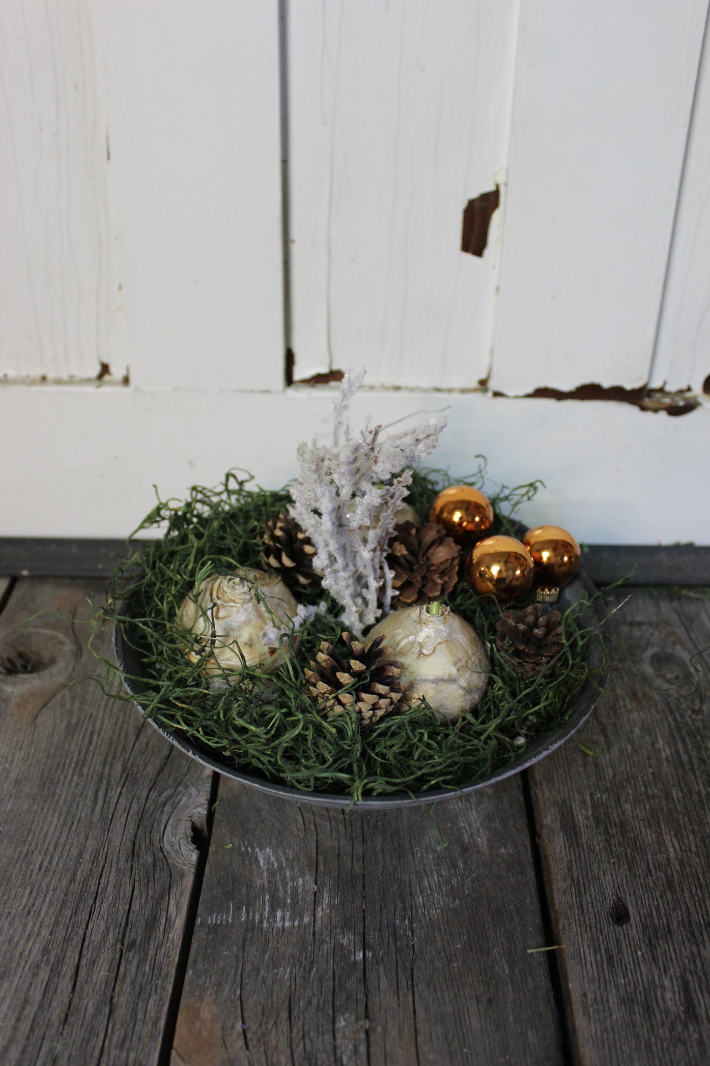 Hyacinth Winter Round Centerpiece - Fernwood & Co
