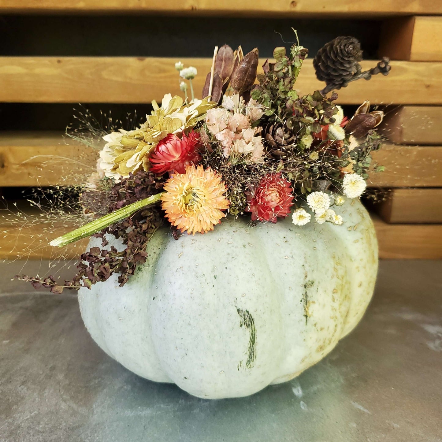 Large Blue Dried Flower Pumpkin Arrangement - Fernwood & Co