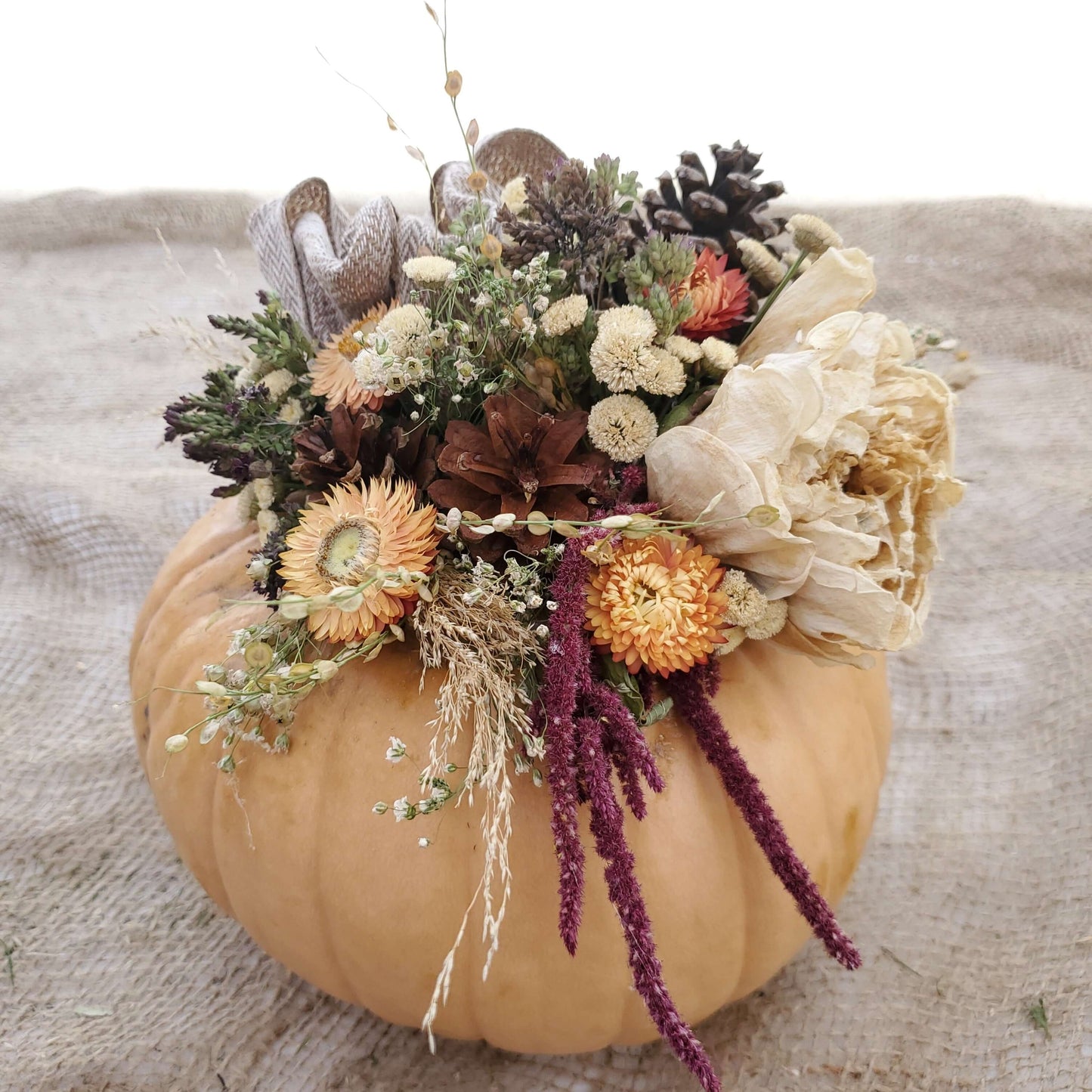 Medium Peach Dried Flower Pumpkin Arrangement - Fernwood & Co