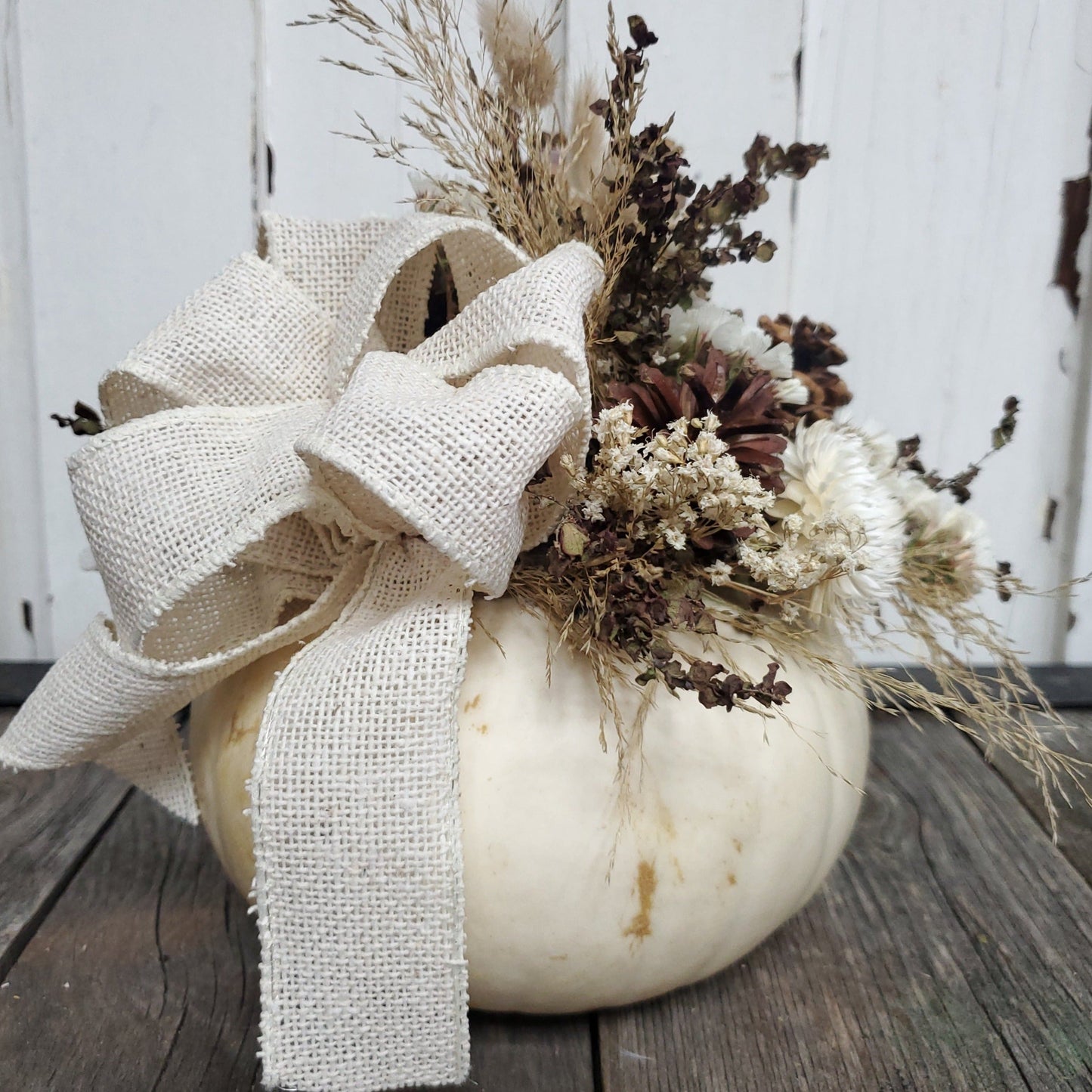 Small White Dried Flower Pumpkin Arrangement - Fernwood & Co