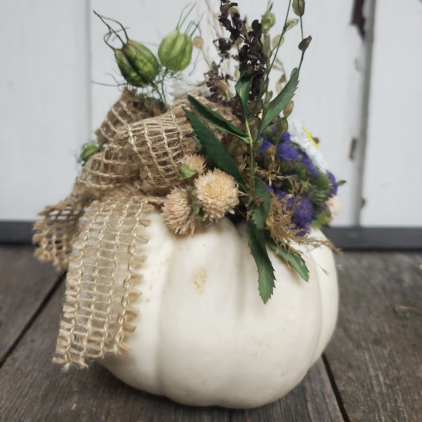 Small White Dried Flower Pumpkin Arrangement - Fernwood & Co