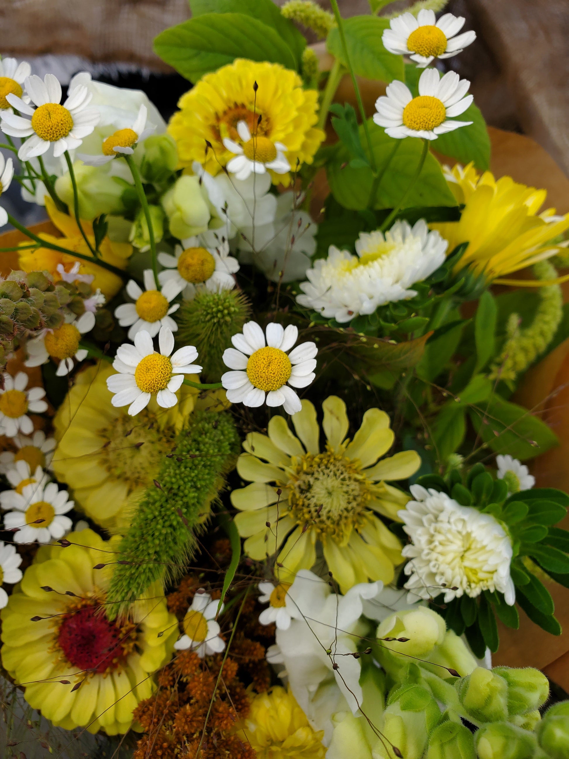 August and September Bouquet Subscription - 8 Weeks - Fernwood & Co