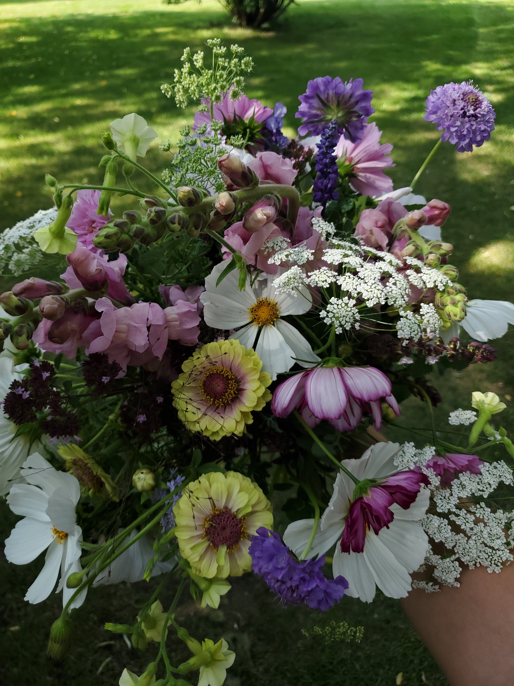 August and September Bouquet Subscription - 8 Weeks - Fernwood & Co