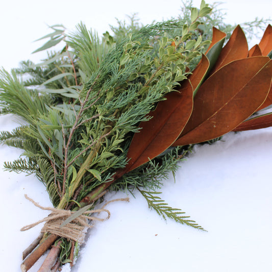 Bundle of Mixed Greenery - Fernwood & Co