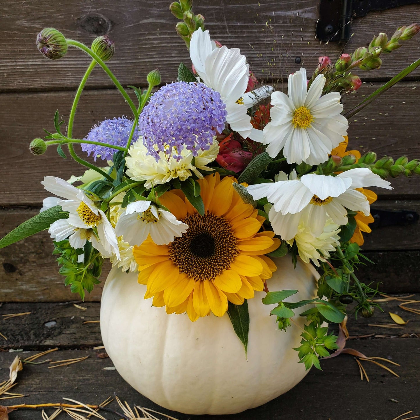 Fresh Flower Pumpkin Arrangement - Fernwood & Co