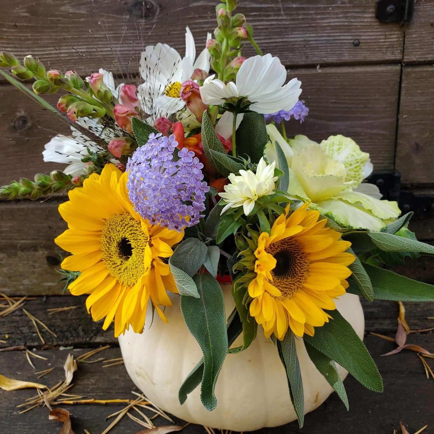 Fresh Flower Pumpkin Arrangement - Fernwood & Co