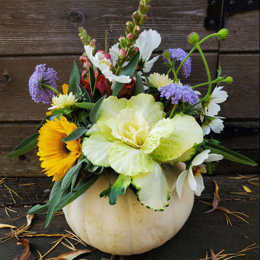 Fresh Flower Pumpkin Arrangement - Fernwood & Co