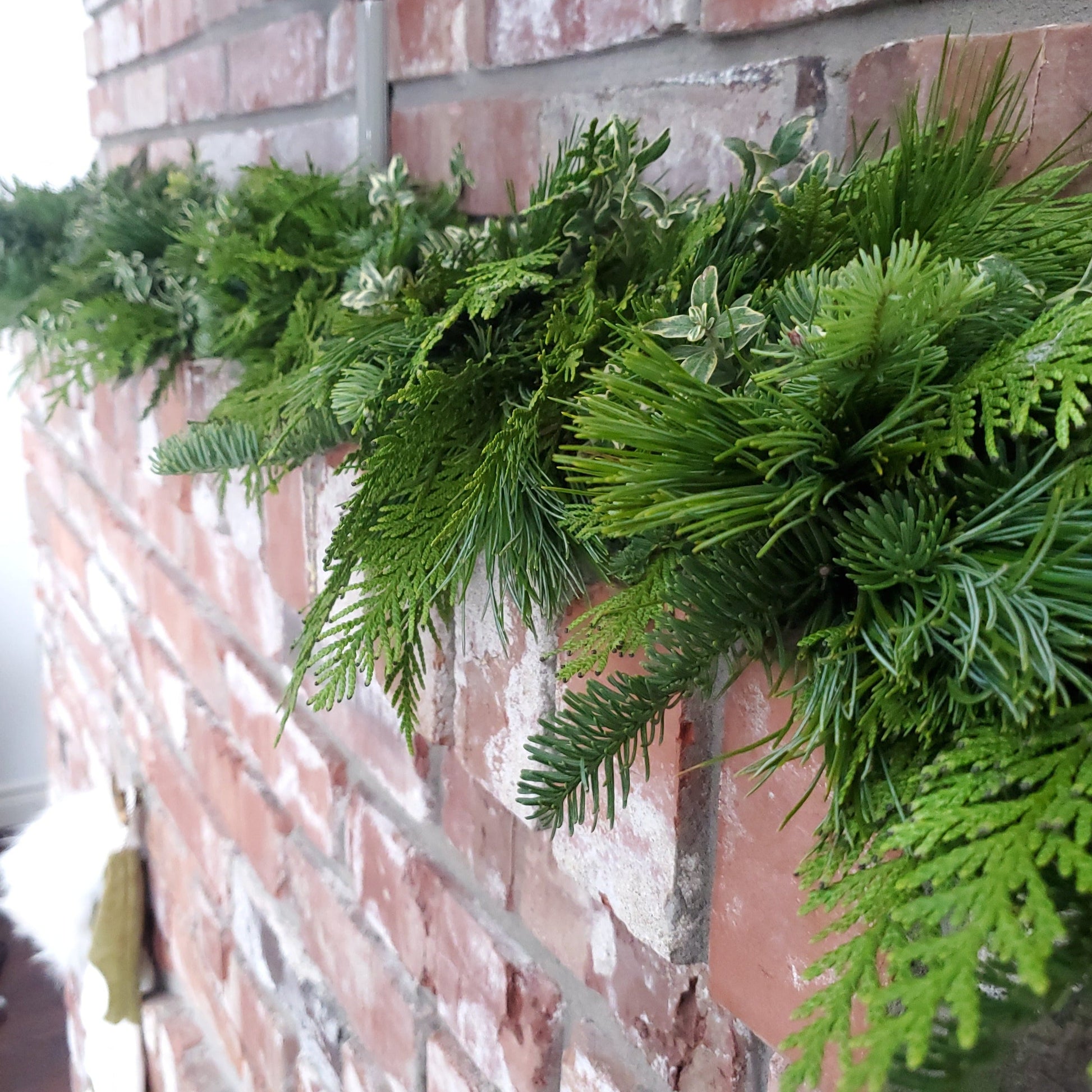 Fresh Garland - Fernwood & Co