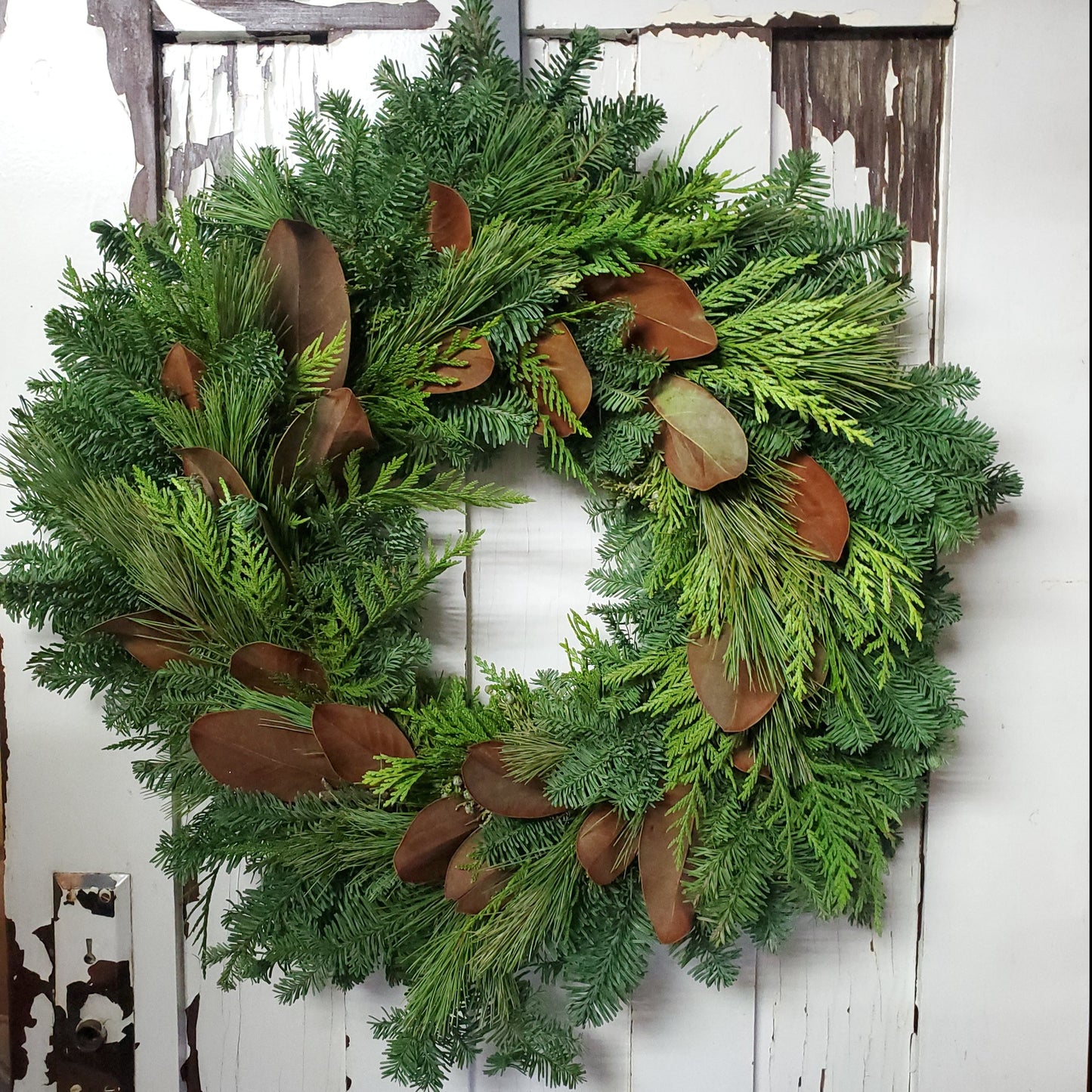 Fresh Greenery Wreath - Fernwood & Co