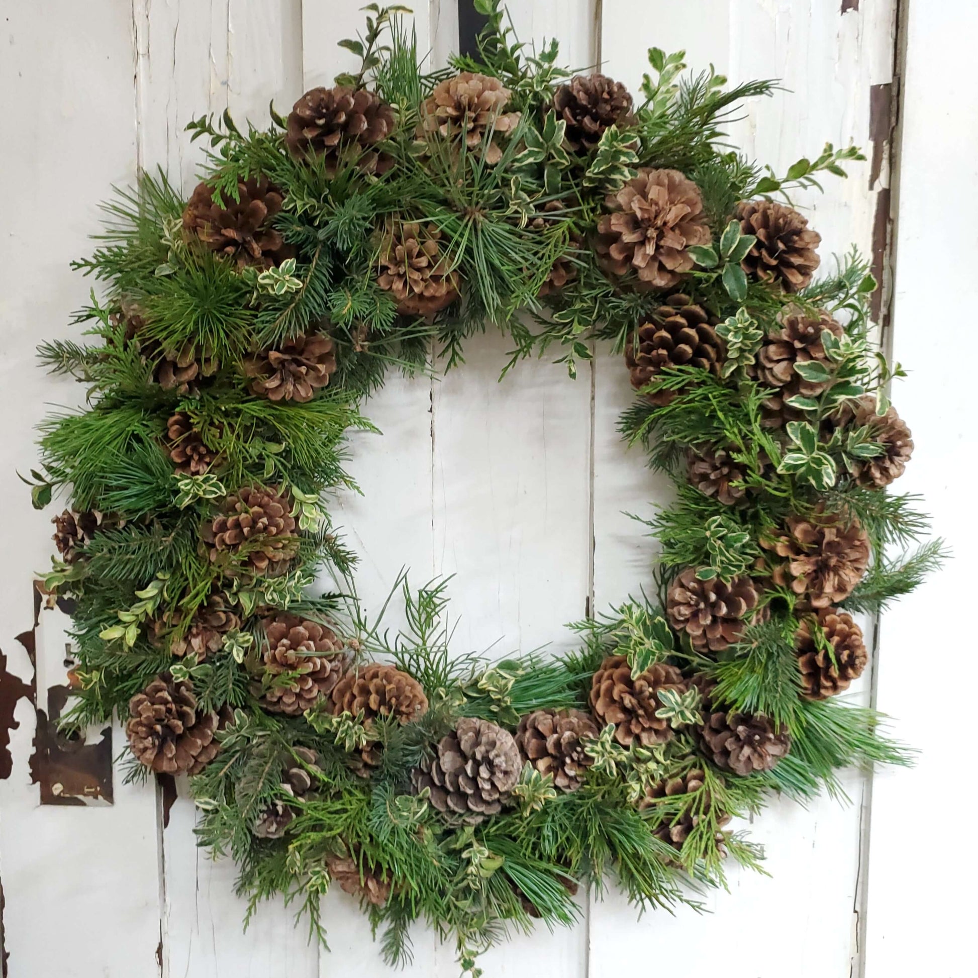 Fresh Greenery Wreath with Pinecones - Fernwood & Co
