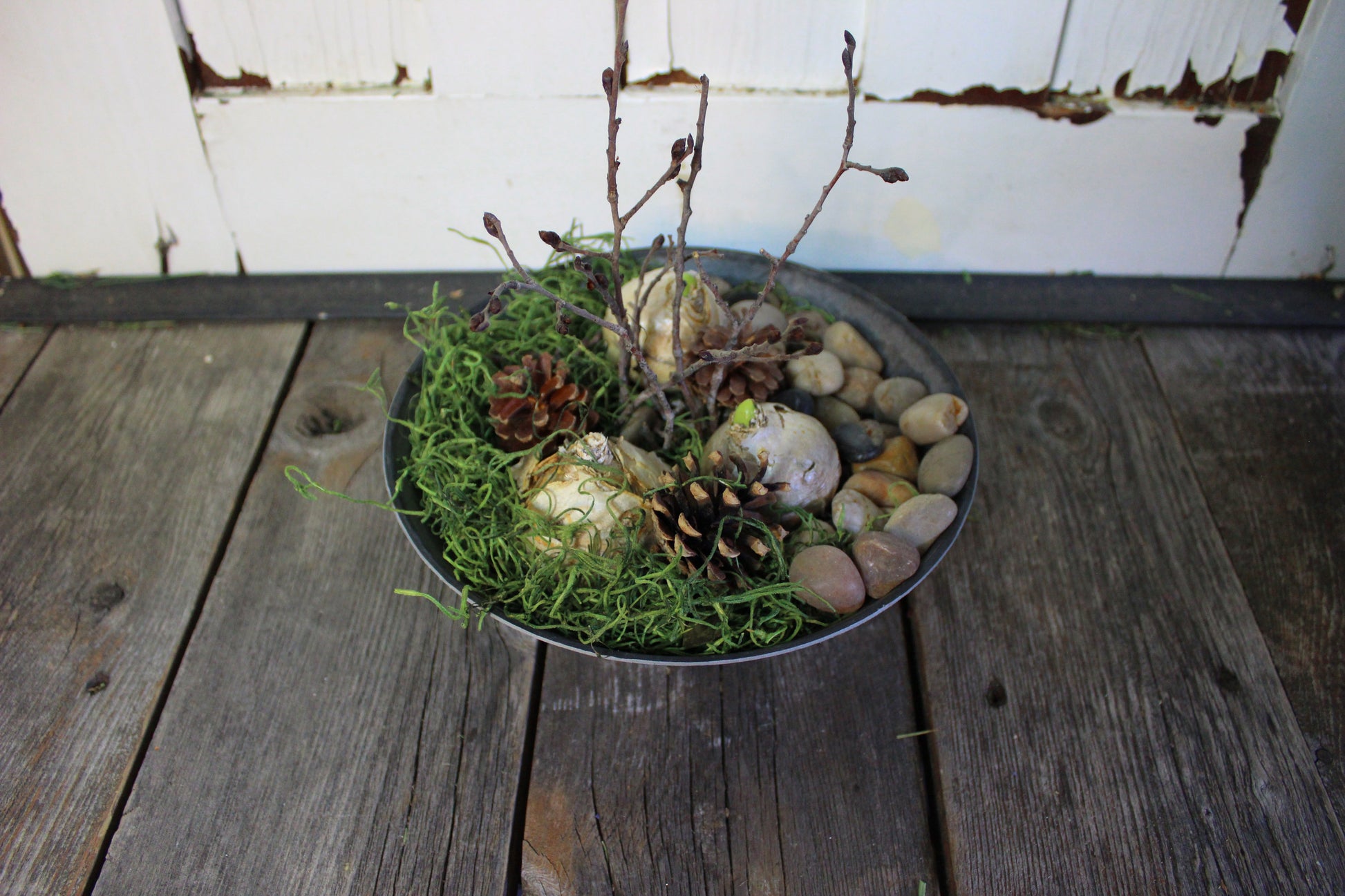 Hyacinth Winter Round Centerpiece - Fernwood & Co