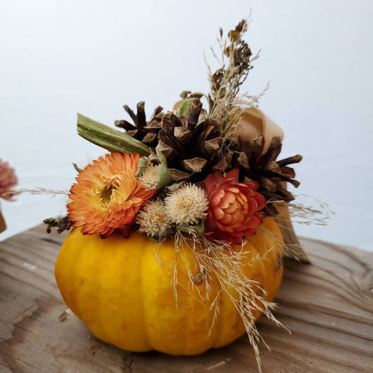 Mini Orange Dried Flower Pumpkin Arrangement - Fernwood & Co