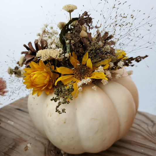 Mini White Dried Flower Pumpkin Arrangement - Fernwood & Co