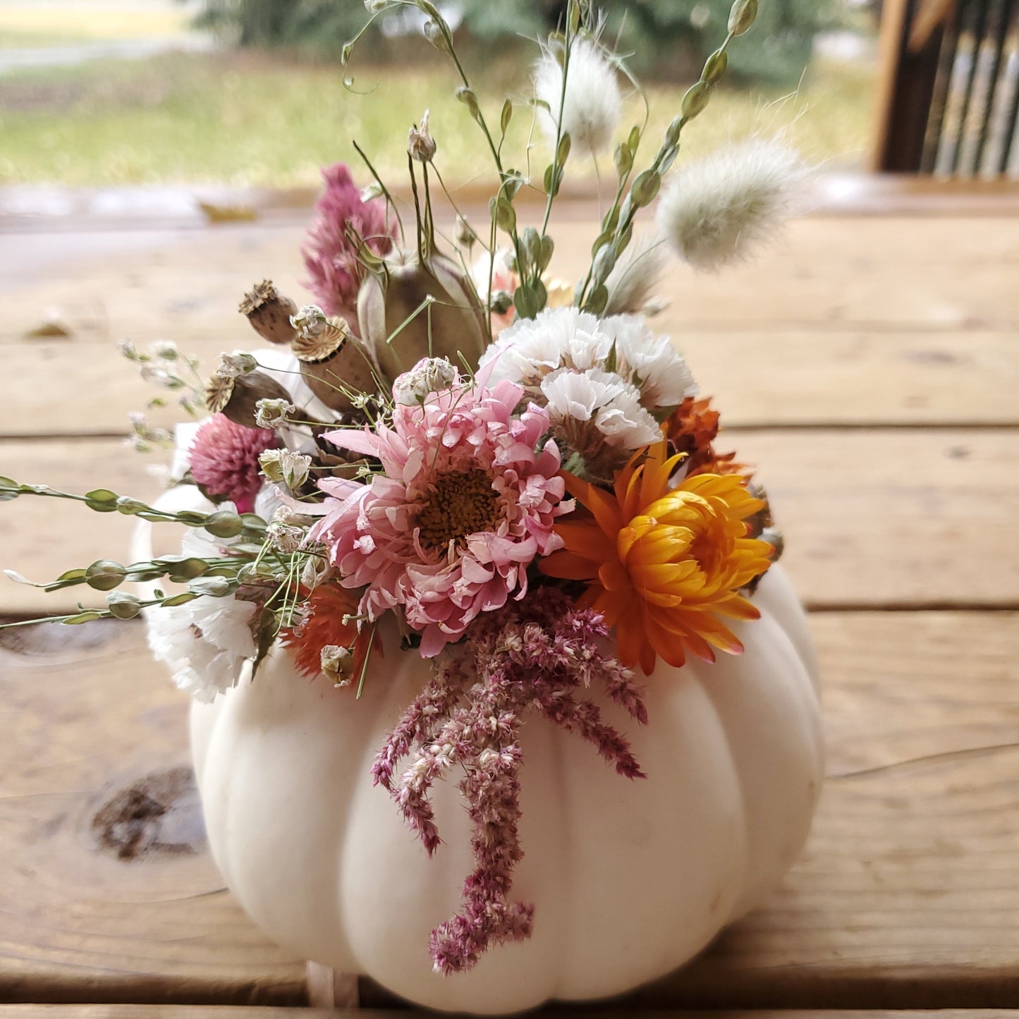 Mini White Dried Flower Pumpkin Arrangement - Fernwood & Co