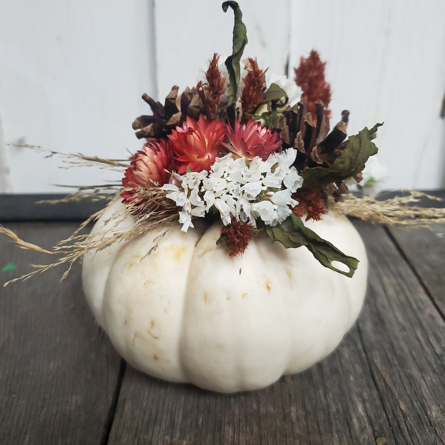 Mini White Dried Flower Pumpkin Arrangement - Fernwood & Co