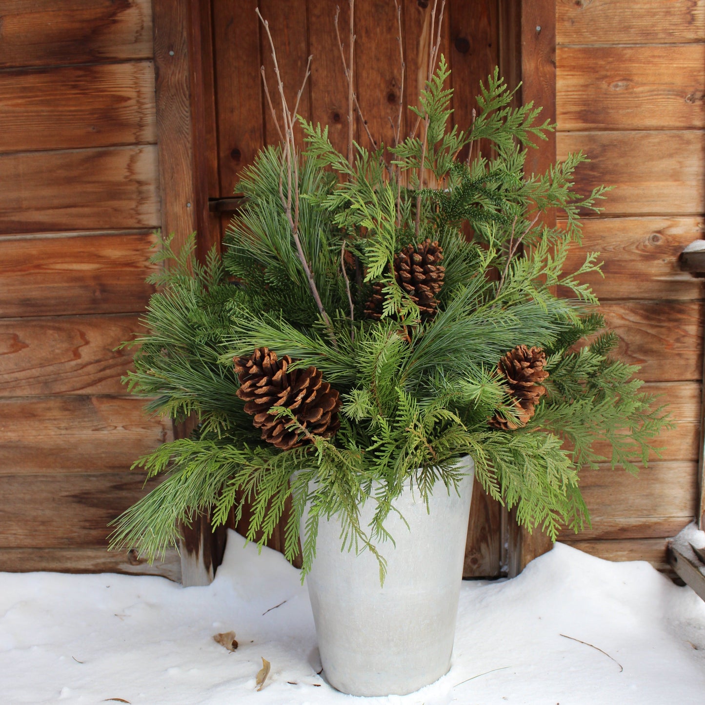 Planter in Maple Syrup Pail- Decorate Your Own - Fernwood & Co