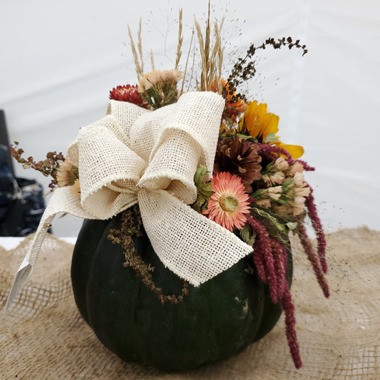 Small Black Dried Flower Pumpkin Arrangement - Fernwood & Co