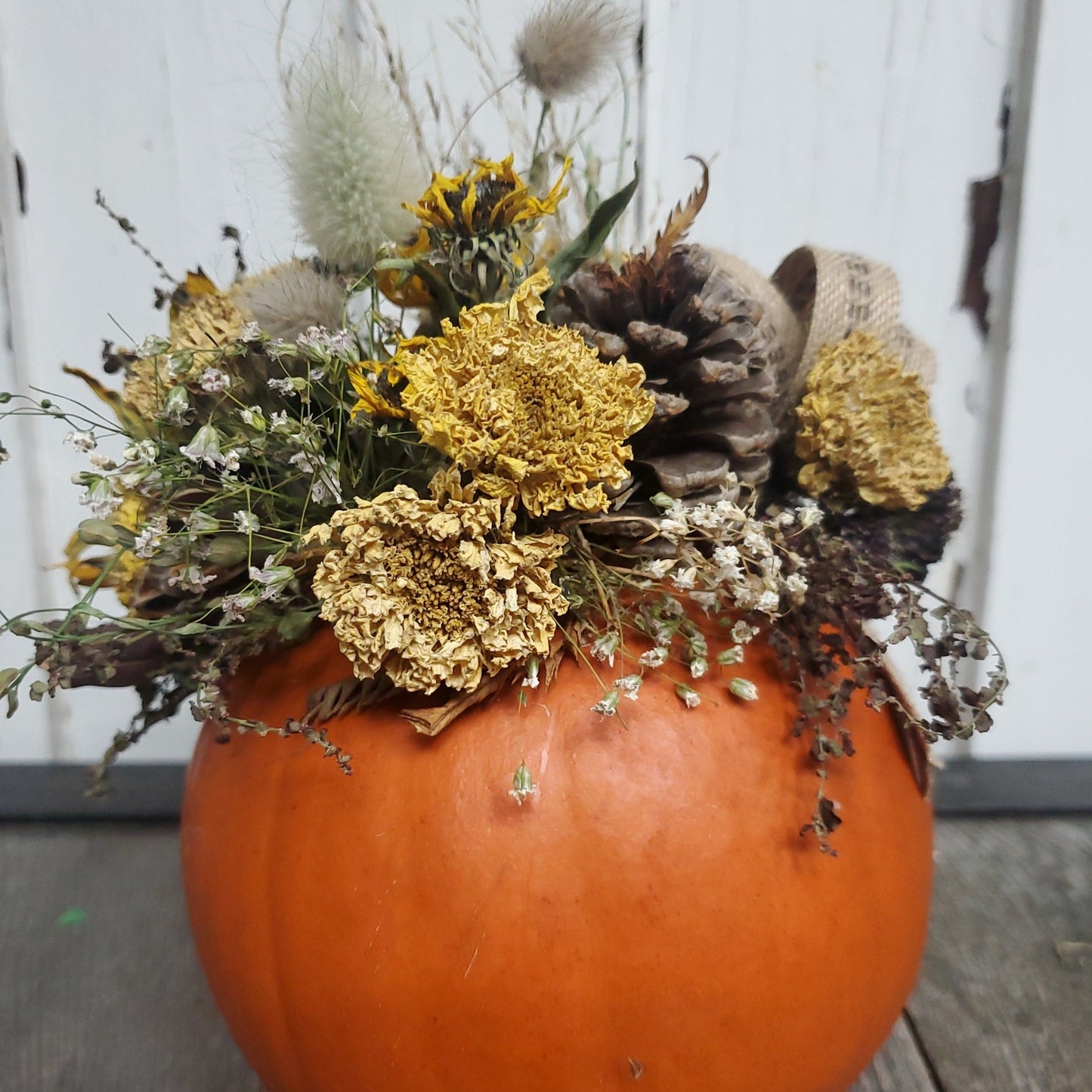 Small Orange Dried Flower Pumpkin Arrangement - Fernwood & Co