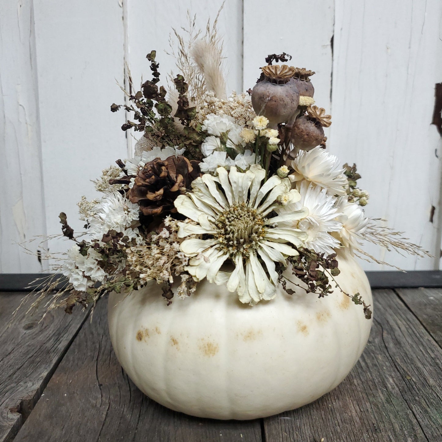 Small White Dried Flower Pumpkin Arrangement - Fernwood & Co