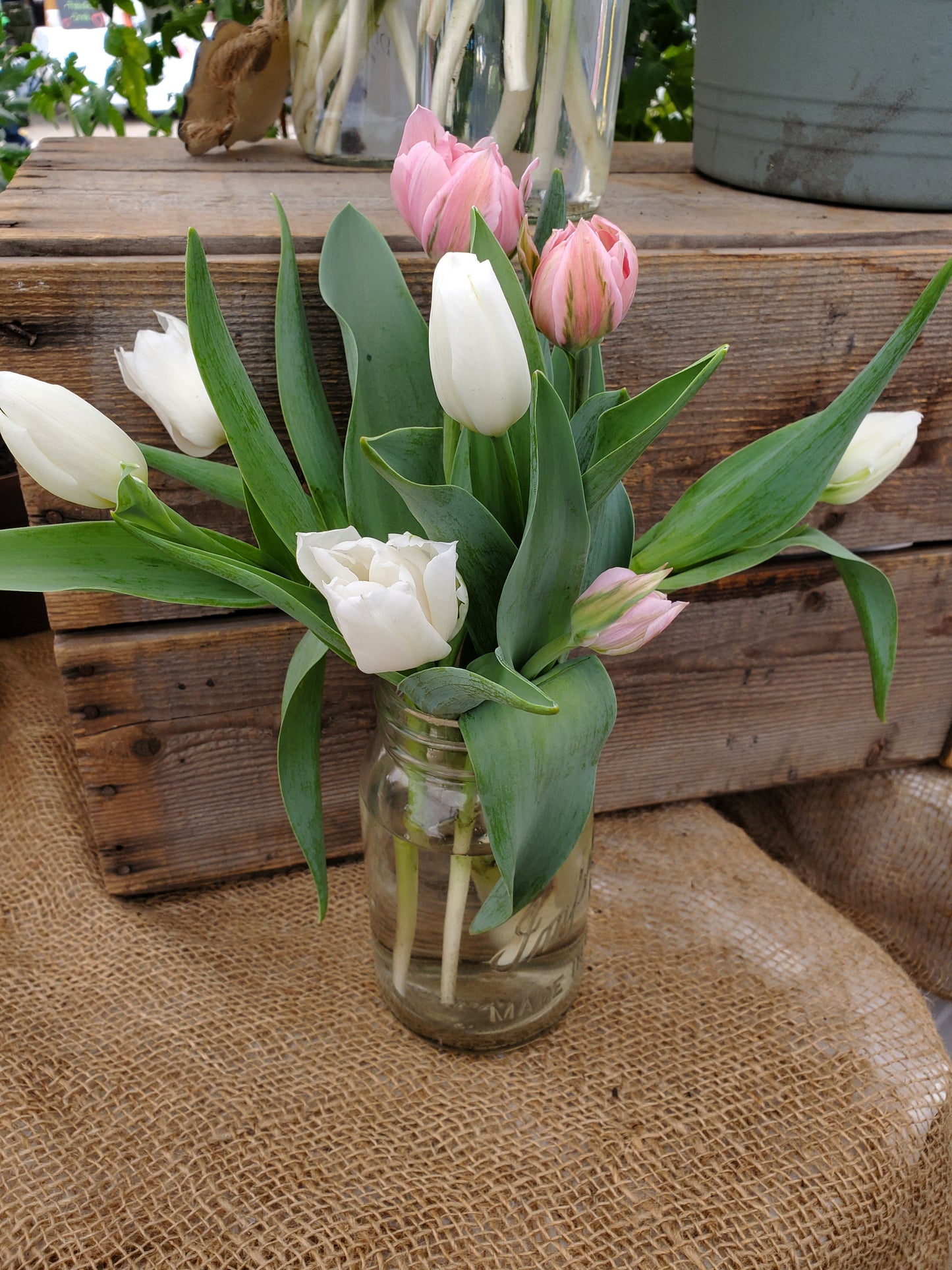 Weekly Tulip Bouquet Subscription - Fernwood & Co
